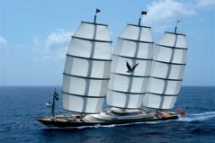 Maltese Falcon -  (2)